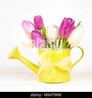 Annaffiatoio con viola i tulipani su sfondo bianco Foto Stock