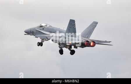 Spanish Air Force EF-18AM Hornet Foto Stock