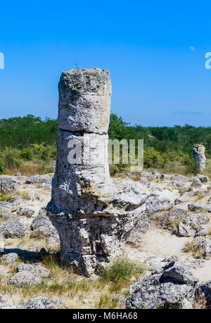 Il fenomeno naturale Pobiti Kamani, conosciuta come la Foresta di Pietra e Dikilitash ,monumento naturale in un luogo sacro vicino a Varna, Bulgaria Foto Stock