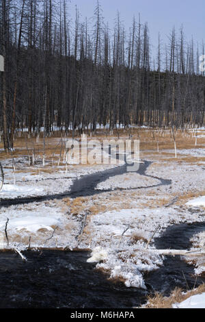 Dark veloce che scorre acqua scorre attraverso gli stretti canali attraverso un campo di dead tronchi di alberi e coperta di neve golden erba. Foto Stock