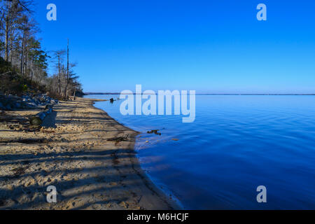 Neusiok River Trail lungo le rive del fiume Neuse in New Bern, North Carolina, Stati Uniti d'America - mirabilmente bellissimo cedro tronchi di alberi sorgere dall'acqua Foto Stock