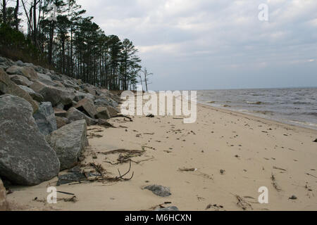 Neusiok River Trail lungo le rive del fiume Neuse in New Bern, North Carolina, Stati Uniti d'America - mirabilmente bellissimo cedro tronchi di alberi sorgere dall'acqua Foto Stock