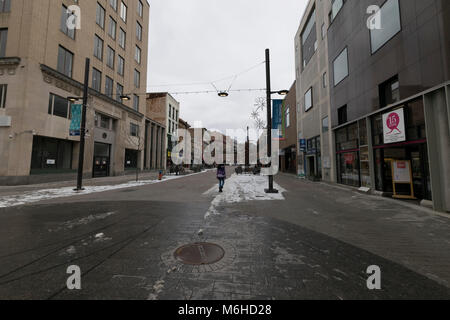 Downtown Ithaca Commons area, Ithaca NY Foto Stock