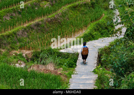 Dazhai, Cina - Agosto 4 ,2012: un agricoltore locar portando un cesto al suo indietro lungo una schiera di riso campo nei pressi del villaggio di Dazhai in Cina, Asia Foto Stock