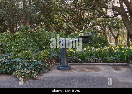 Fontana al Brooklyn Botanic Garden Foto Stock