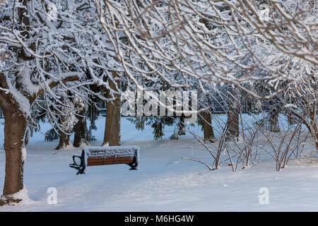 Pinafore Parco di San Tommaso, Ontario, Canada viene tranciato con una neve fresca caduta dopo che Madre Natura ha portato un tardo inverno tempesta a sudovest di Ontario. Foto Stock