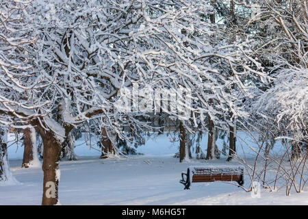 Pinafore Parco di San Tommaso, Ontario, Canada viene tranciato con una neve fresca caduta dopo che Madre Natura ha portato un tardo inverno tempesta a sudovest di Ontario. Foto Stock