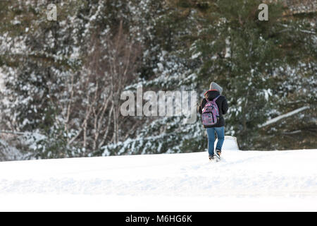 Pinafore Parco di San Tommaso, Ontario, Canada viene tranciato con una neve fresca caduta dopo che Madre Natura ha portato un tardo inverno tempesta a sudovest di Ontario. Foto Stock