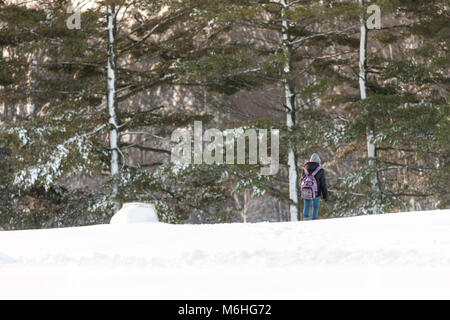 Pinafore Parco di San Tommaso, Ontario, Canada viene tranciato con una neve fresca caduta dopo che Madre Natura ha portato un tardo inverno tempesta a sudovest di Ontario. Foto Stock