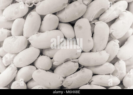 Fagioli Cannellini isolato Foto Stock