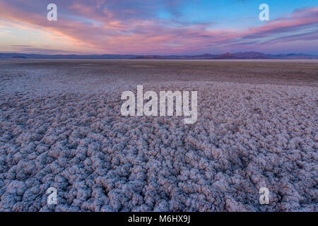 Tramonto sul lago di soda, Zzyzx, Mojave National Preserve, California Foto Stock