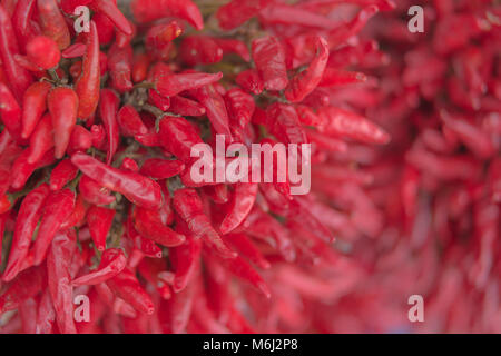 Primo piano della essiccato peperoncino rosso bouquet, focus poco profonda Foto Stock