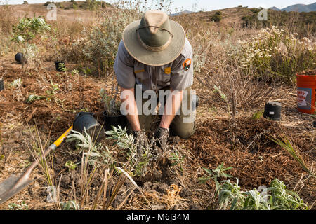 Veterani Day Trail lavorare a Rancho Sierra Vista Satwiwa. Foto Stock