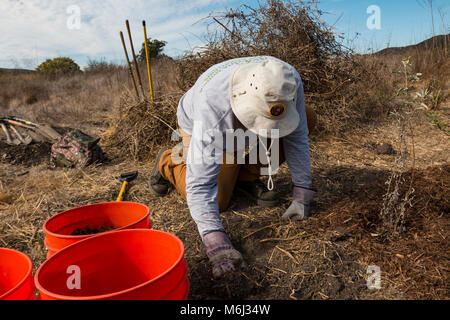 Veterani Day Trail lavorare a Rancho Sierra Vista Satwiwa. Foto Stock