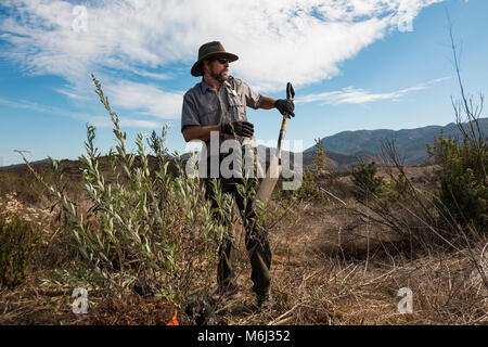 Veterani Day Trail lavorare a Rancho Sierra Vista Satwiwa. Foto Stock