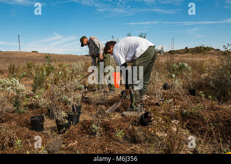 Veterani Day Trail lavorare a Rancho Sierra Vista Satwiwa. Foto Stock