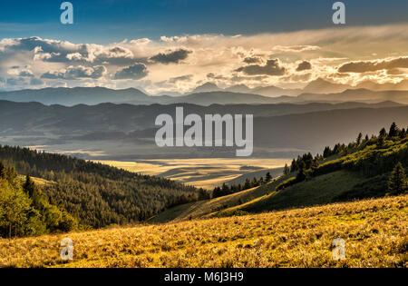 Canadian Rockies, principale varia in lontananza, vista al tramonto dalla strada Skyline in Porcupine Hills, Alberta, Canada Foto Stock