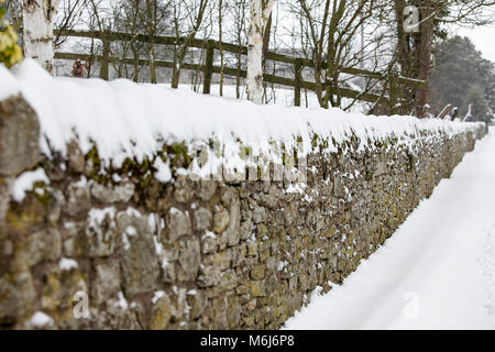 Una delle (40) immagini in questo Acton Burnell serie inverno. La combinazione di oggetti, segni, la vita vegetale, derive di neve e neve strutture in congelamento Febbraio 2018. Foto Stock