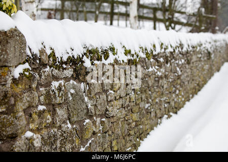 Una delle (40) immagini in questo Acton Burnell serie inverno. La combinazione di oggetti, segni, la vita vegetale, derive di neve e neve strutture in congelamento Febbraio 2018. Foto Stock