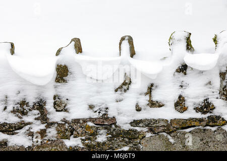 Una delle (40) immagini in questo Acton Burnell serie inverno. La combinazione di oggetti, segni, la vita vegetale, derive di neve e neve strutture in congelamento Febbraio 2018. Foto Stock