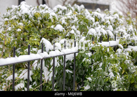 Una delle (40) immagini in questo Acton Burnell serie inverno. La combinazione di oggetti, segni, la vita vegetale, derive di neve e neve strutture in congelamento Febbraio 2018. Foto Stock