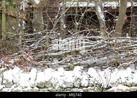 Una delle (40) immagini in questo Acton Burnell serie inverno. La combinazione di oggetti, segni, la vita vegetale, derive di neve e neve strutture in congelamento Febbraio 2018. Foto Stock
