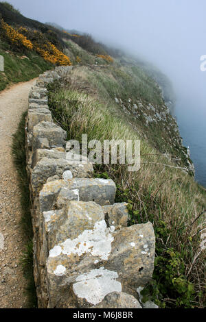 In cima alla scogliera viste nella nebbia vicino a Incudine Point Lighthouse e Durlston Castello, Durlston Country Park, Swanage, Dorset, Regno Unito Foto Stock