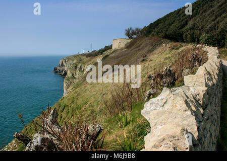 Vista verso l'Incudine Point Lighthouse in una giornata di sole, Durlston Country Park, Swanage, Dorset, Regno Unito Foto Stock