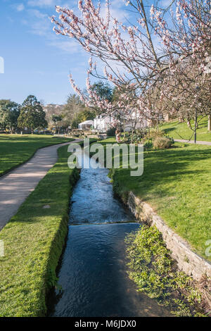 Un flusso che scorre attraverso Trenance Gardens in Newquay Cornwall. Foto Stock