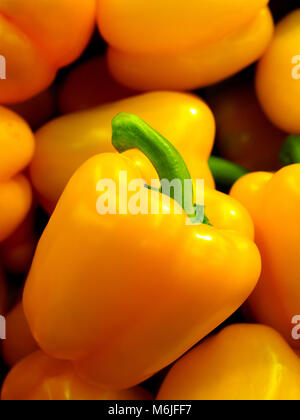 Peperone giallo, noto anche come il giallo di Capsicum. Luminoso e fresco e vivace giallo Capsicum annuum con stelo verde, altri in sfondo bokeh di fondo. Foto Stock