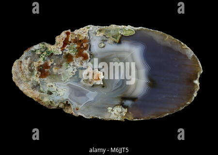 Una sezione di agata. Multicolore anelli di silice colorata con ossidi metallici sono visibili. Micro-stalactite agata. Origine: Rudno vicino a Cracovia in Polonia. Foto Stock