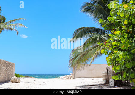 Mantenere la spiaggia pulita - Due prelevati i sacchetti di rifiuti sulla strada verso il Golfo del Messico con pareti su entrambi i lati e il palm tree e uve del mare su un lato- Foto Stock