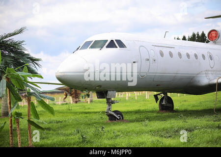 Piano nella giungla. L'aereo è atterrato nella fitta vegetazione di Foto Stock