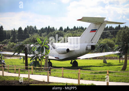 Piano nella giungla. L'aereo è atterrato nella fitta vegetazione di Foto Stock