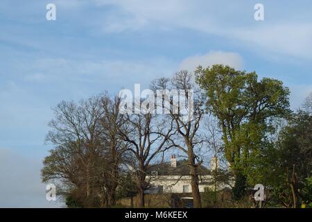 Grandi xviii secolo Country Manor House è circondato da un bosco ceduo di alberi. Inizio della primavera, Topsham, Exeter, Devon, Regno Unito. Foto Stock