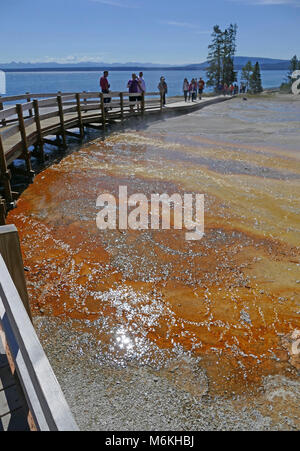 West Thumb Geyser Basin. Visitatori presso il West Thumb Geyser Basin; Foto Stock