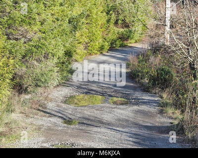 Grande pozza/buca su una foresta strada di ghiaia nello stato di Washington, USA Foto Stock