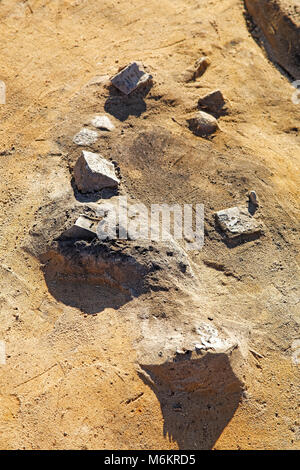 Reperti archeologici della prima età del ferro sulla superficie di scavo prima che essi vengono estratti dal suolo. Un bronzo celt e ornamenti a fr Foto Stock