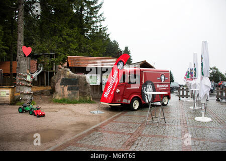 Punto di vista per i viaggiatori scatta foto e lucchetti inciso con i nomi di amanti, bloccato sull'albero a lago Mummelsee Su settembre 8, 2017 in Stu Foto Stock