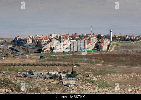 Gerusalemme, Palestina, Gennaio 12, 2011: insediamento ebraico costruito sui terreni che sono riconosciuti come il palestinese nei Territori Occupati da internation Foto Stock