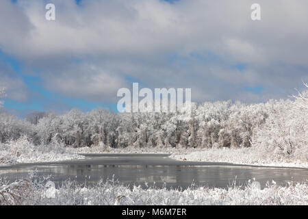 Coperta di neve alberi e il lago in inverno nel Michigan Foto Stock