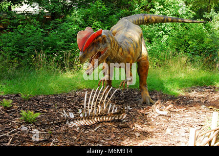 Full Size modello di dinosauro Dilophosaurus nel Parco dinosauri in Givskud Zoo Givskud, Danimarca. 8 agosto 2015. Givsud Zoo è una delle più grandi tourist Foto Stock