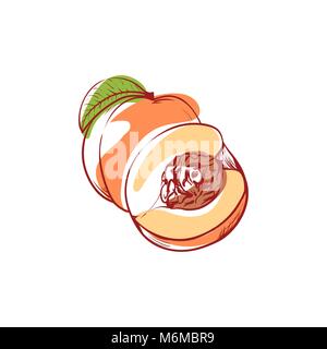 Pesca matura isolata icona vettore Illustrazione Vettoriale