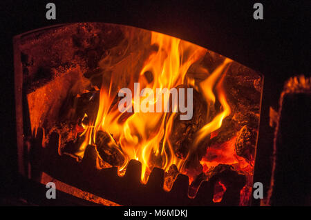 La combustione di carbone e legno in una stufa in metallo Foto Stock