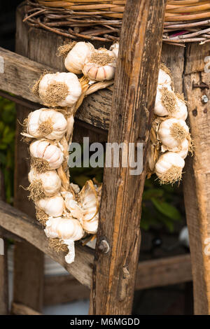 Un anello di chiodi di garofano di aglio sul display in stallo il mercato a Campo de' Fiori Mercato, Roma, Italia. Foto Stock