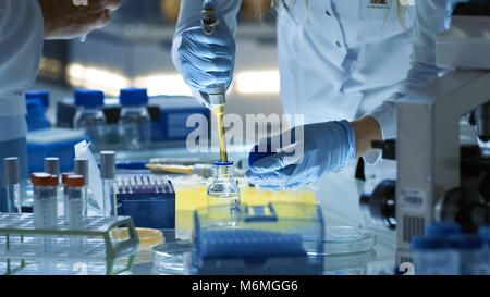 Ricerca di donne scienziato utilizza micropipetta riempire le provette per la prova. Le opere dello scienziato in un team di scienziati nel tentativo di curare la malattia mortale Foto Stock