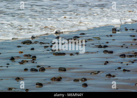 Ammassi di alghe e rocce su bagnato spiaggia sabbiosa con le onde in arrivo Foto Stock