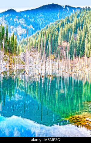 Il Sunken Foresta, Lago Kaindy, in Kazakistan e in Asia centrale, Blue Lago glaciale formata dal terremoto del 1911. Il lago di Kaindy parco nazionale Foto Stock