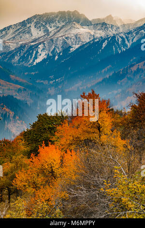 Autunno a colori di Zailiyskiy Alatau Mountains, Kazakistan, Asia centrale Foto Stock