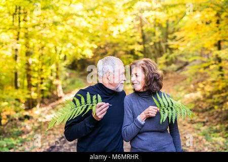 Coppia senior in una passeggiata nella foresta di autunno. Foto Stock